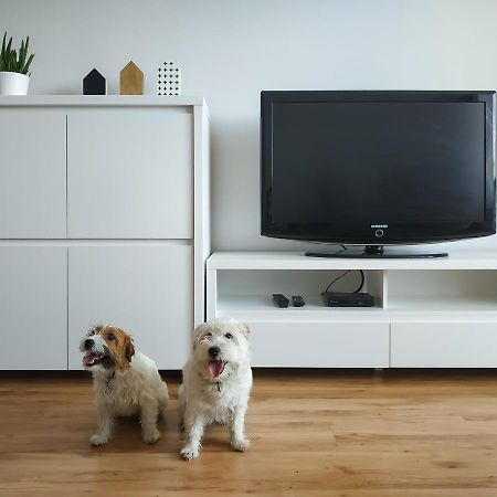 Uroczy Apartament Pod Skarpa Wadowice Exteriér fotografie